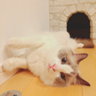 Hikaru