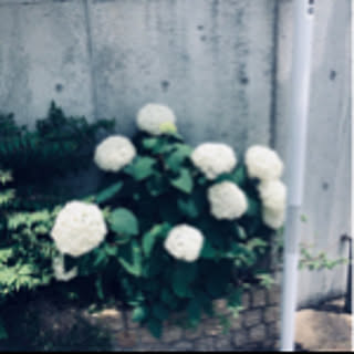 __emi__0817