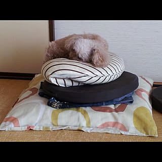 Tomo_16