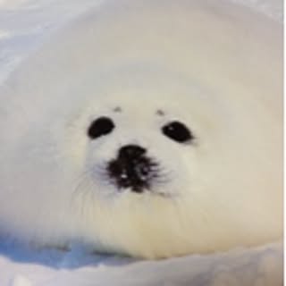 tutizumi
