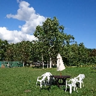 seriseri