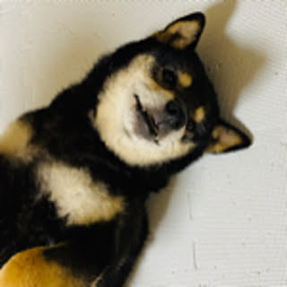 tsuyuki