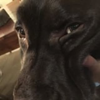 Yotaro