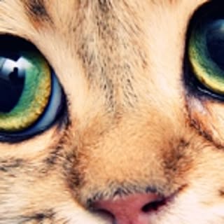 rrr
