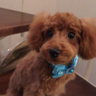 EIJI