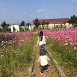 kanapechi_20
