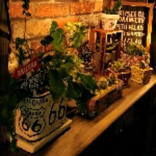 taka66
