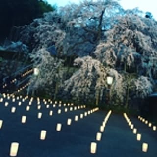 SAZUARA.HAKANA