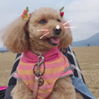 nao.waka