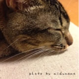 midumama