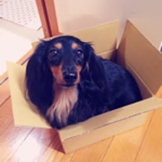 mako_g
