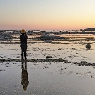 slowlife_129
