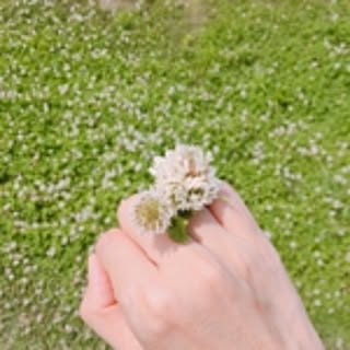 Aiko