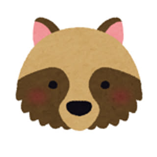Raccoon