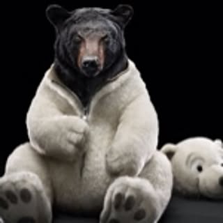 kuma