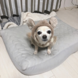 nayb