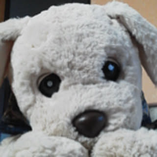 genchan