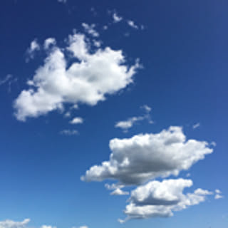 Rie
