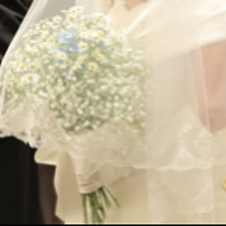 satomi