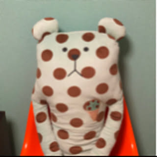 chi-chan