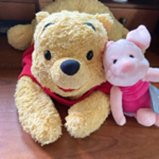 ilove_pooh3832
