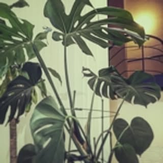 RkaranoP