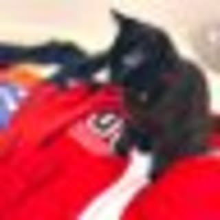 neko_room