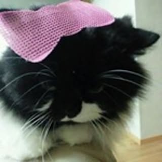 Hitomi