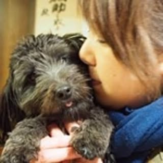 Kiyo.Kiyo.n