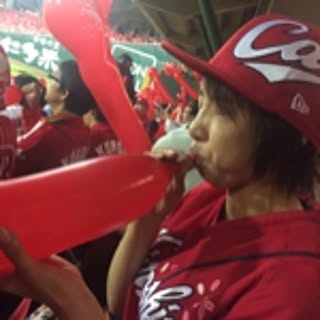 carp26.diy42