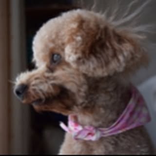 Edison