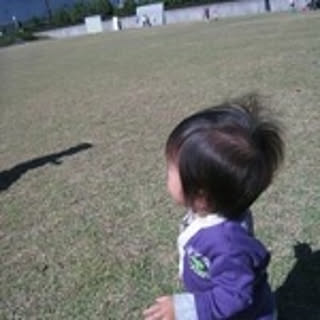 Mayumi