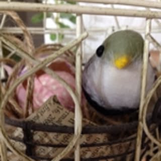 marikumi