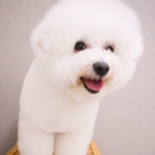 shiori