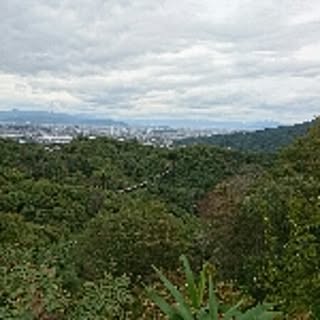 ydu