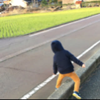 Sachi