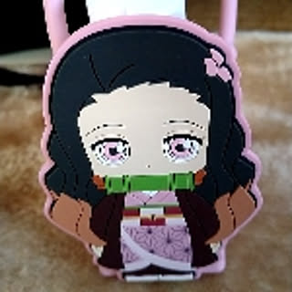 mameshiba