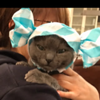 maruko