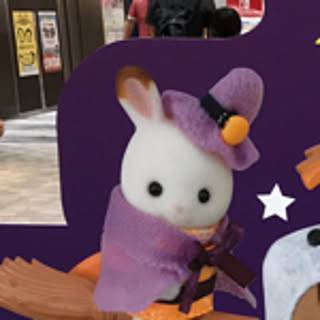 minamihakofugu