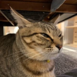 yukichi801