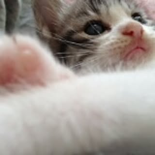 Lucy