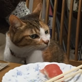 OYUKI