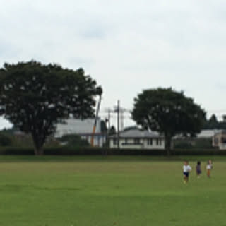 yaya