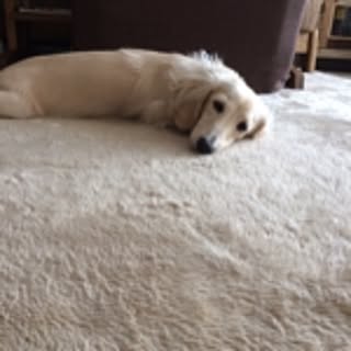 sub