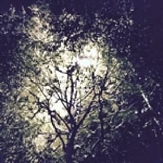 mashirom_0726