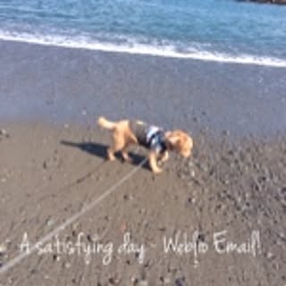 mikiko