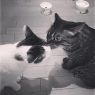 fumio
