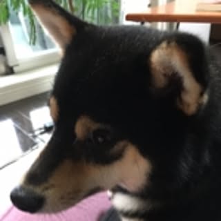 aya