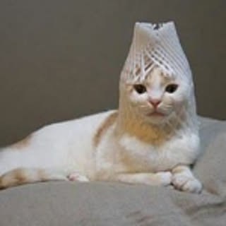 kuni