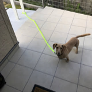 you